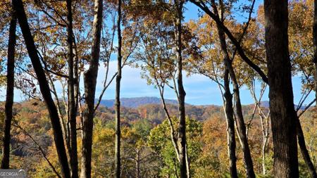 Lot 5 Gold Ridge Trail, Cherry Log GA 30522