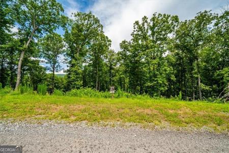 Lot 27 Ridge, Morganton GA 30560