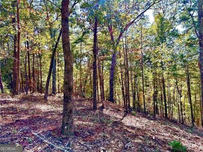 1405 Foxhound Trail NE, Ranger GA 30734