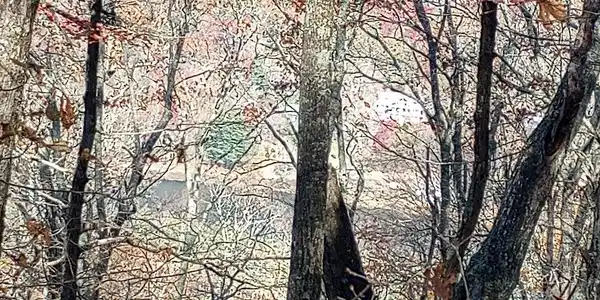 Lot 25 Alex Mountain, Sky Valley GA 30537