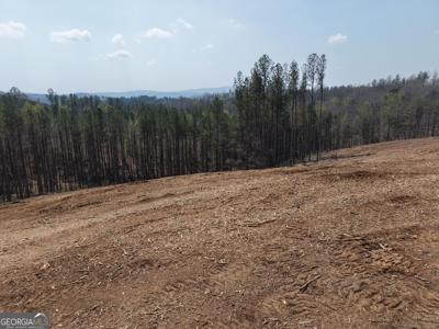 Young Loop # C, Fairmount GA 30139