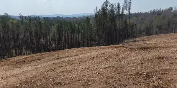 Young Loop # C, Fairmount GA 30139