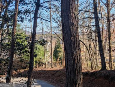 TRACT Ivylog Drive, Blairsville GA 30512