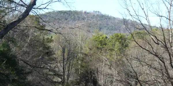 225 Hilltop Lane, Clarkesville GA 30523