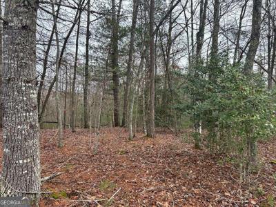 LT 42 Lola Mae Way, Morganton GA 30560