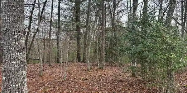 LT 42 Lola Mae Way, Morganton GA 30560