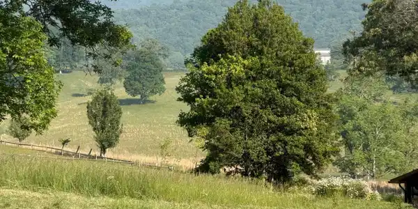 Mountain Road, Morganton GA 30560