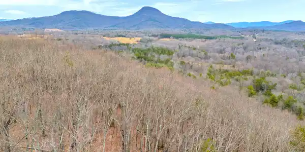 Douglas Fir Drive, Cleveland GA 30528