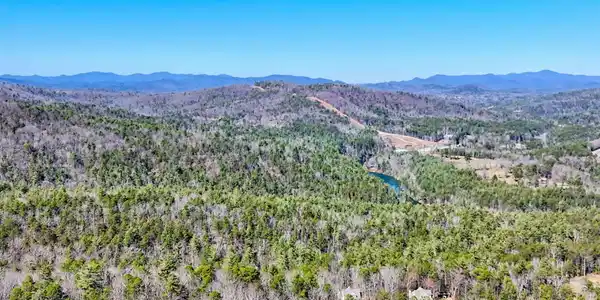 296 Tallulah View