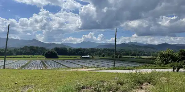 Lot 51/52 Mountain Ridge Drive, Rabun Gap GA 30568