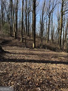 6180 Burnt Mountain Road, Ellijay GA 30536