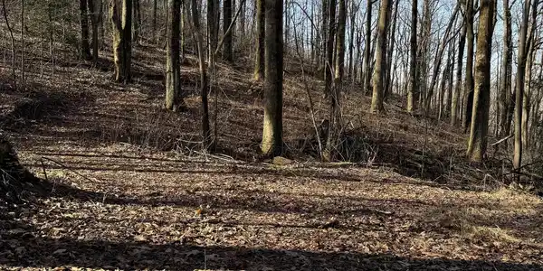 6180 Burnt Mountain Road, Ellijay GA 30536