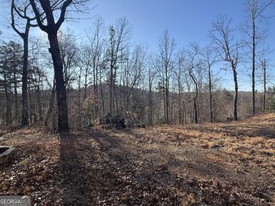 426 Rockhouse Crossing, Demorest GA 30535