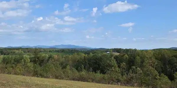 225 Bear Creek Road, Talking Rock GA 30175