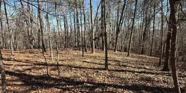 Grindle Bridge Road, Dahlonega GA 30533