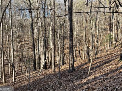 2458 Montage Drive # 2458, Ellijay GA 30540
