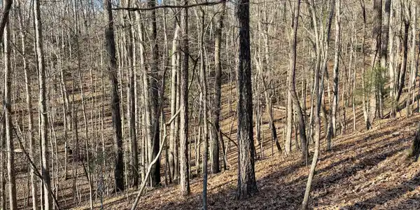 2458 Montage Drive # 2458, Ellijay GA 30540