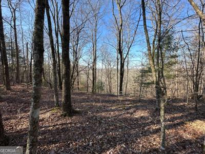 Lot 1640 Hunter Drive # 1640, Talking Rock GA 30175