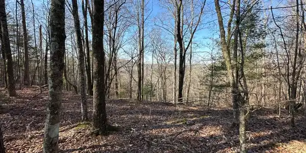 Lot 1640 Hunter Drive # 1640, Talking Rock GA 30175