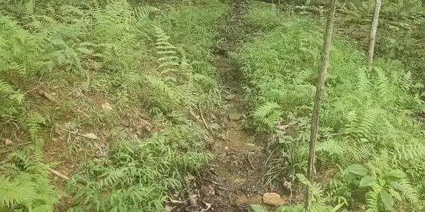 Watkins Road, Blue Ridge GA 30513