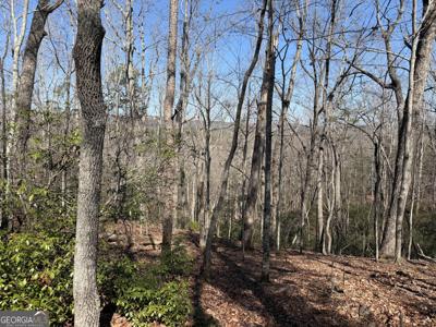 Tanager Trail, Alto GA 30510