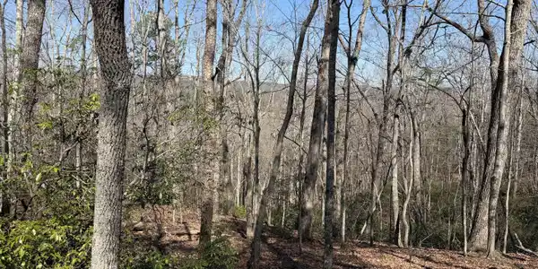Tanager Trail, Alto GA 30510