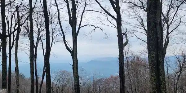 9 Wilderness Creek Way, Murphy NC 28906