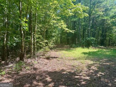 40 Patriot View Drive, Dahlonega GA 30533