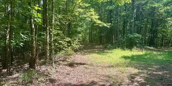40 Patriot View Drive, Dahlonega GA 30533