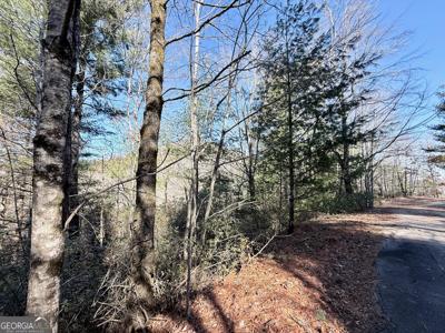 Lot 19 Rabun Bluffs Drive, Lakemont GA 30552