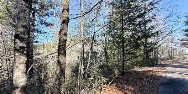 Lot 19 Rabun Bluffs Drive, Lakemont GA 30552
