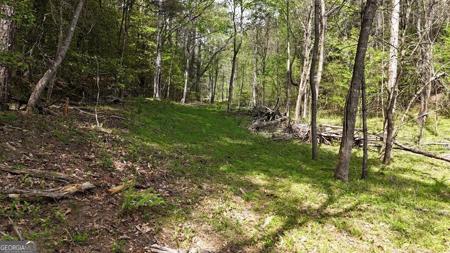 Holly Road, Murphy NC 28906