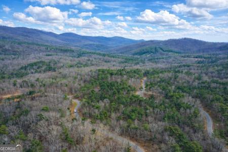 2834 Twisted Oak Road, Ellijay GA 30536