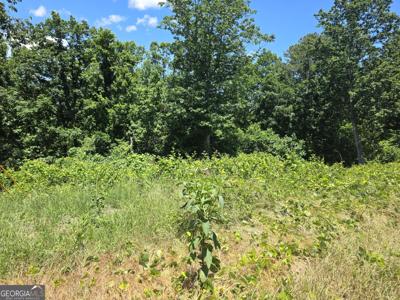 Lot 2 Cowart Mountain Tract 2 Road, Jasper GA 30143