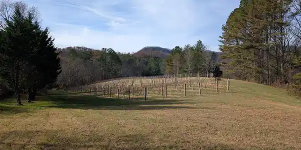 LT 2 Mr Bert Road # 2, Hiawassee GA 30546