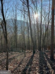 Lot 21 Moon Circle # 21, Sautee Nacoochee GA 30571