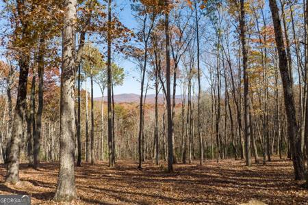 19R Settlement Trail, Ellijay GA 30536