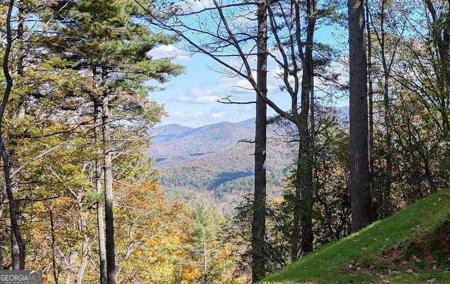 Lot 8 Cindy Cove, Blairsville GA 30512
