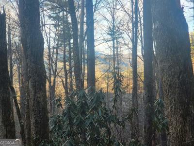 Lot 7C Hawkeye Trail, Rabun Gap GA 30568