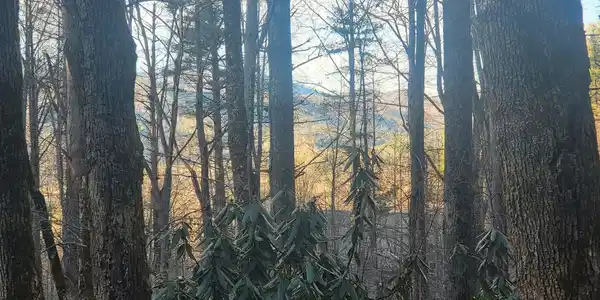 Lot 7C Hawkeye Trail, Rabun Gap GA 30568