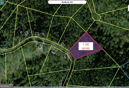 221 Stirratt Road, Ranger GA 30734