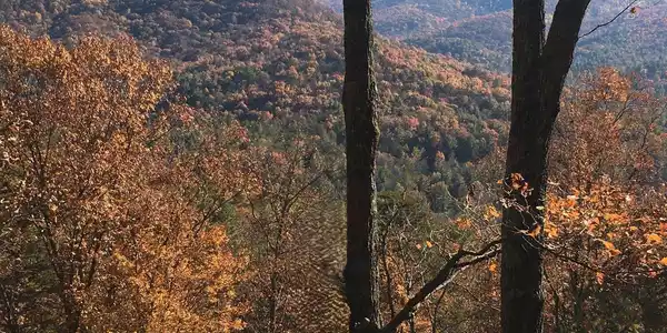 447 Creekview Drive, Ellijay GA 30536