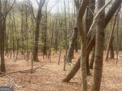 Lot 4428 Bee Tree Ridge, Jasper GA 30143