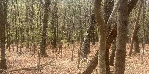 Lot 4428 Bee Tree Ridge, Jasper GA 30143