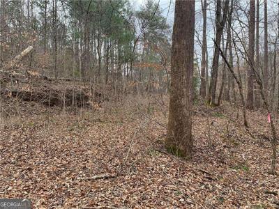 729 Marque Lane NE, Ranger GA 30734