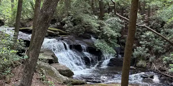 Image 4