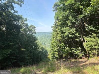 Lot 26P Laurel Branch Drive, Jasper GA 30143