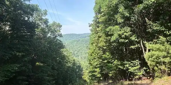 Lot 26P Laurel Branch Drive, Jasper GA 30143