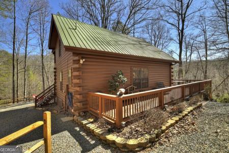 638 Cohutta Mountain Road # 159, Cherry Log GA 30522