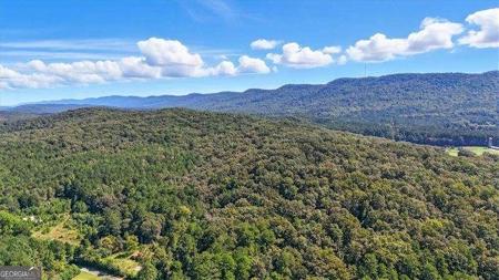 Lot 94/6 Maddox Lake Road, Summerville GA 30747